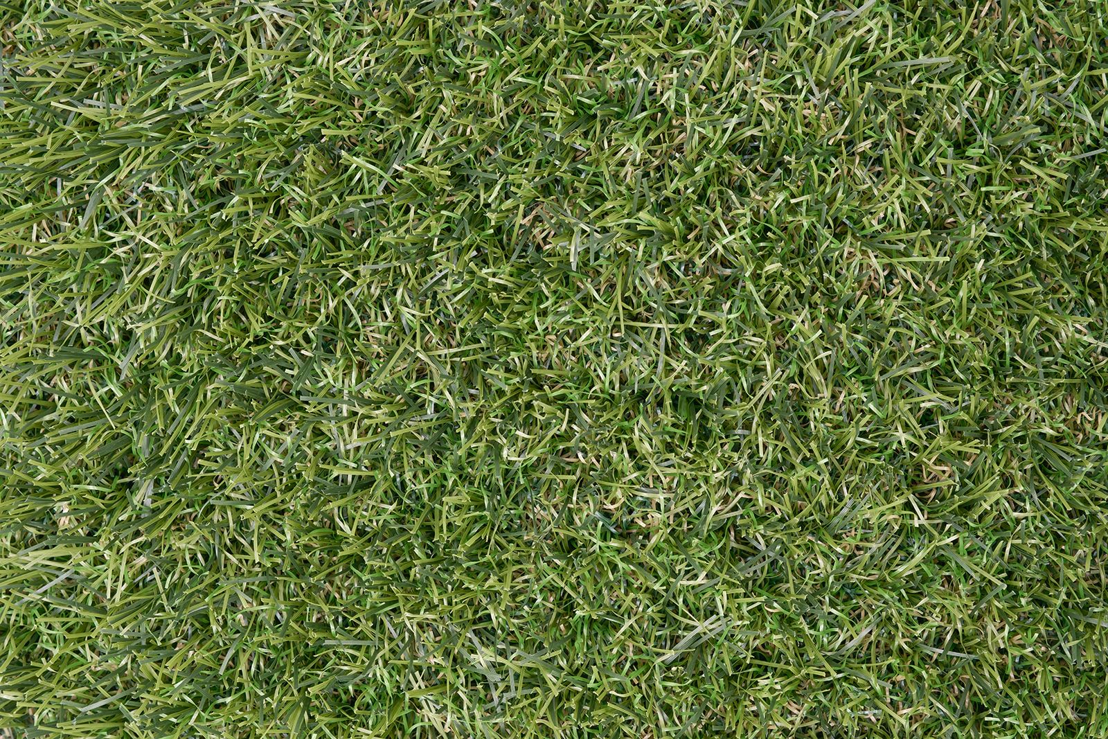 Glorious Τεχνητός χλοοτάπητας 50mm ύψους - Αγοράστε online